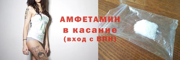 хмурый Алексин