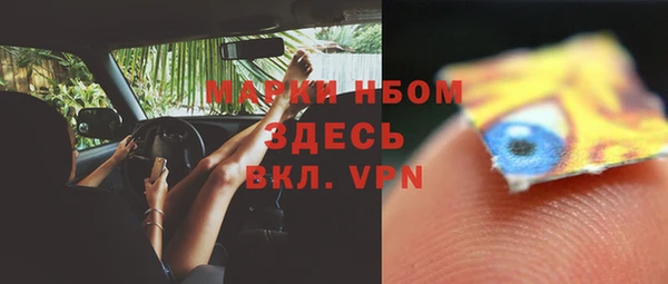 хмурый Алексин