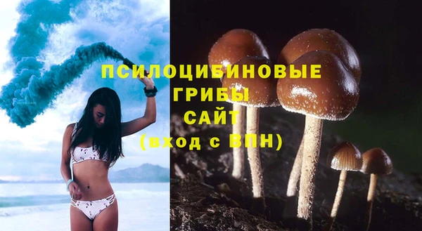 хмурый Алексин